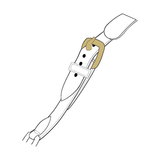 Bags | Hardware Repair